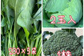 新商品‼️ほうれん草をたっぷり食べて欲しいお野菜セット‼️キャベツ、ブロッコリー入‼️