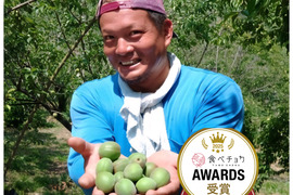 【特別栽培】和歌山県産　青梅L～2L(梅酒、梅シロップ用)５kg