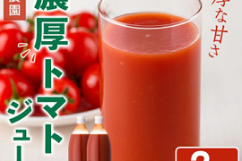 美味しさ丸ごと詰まったトマトジュース　１L×２本