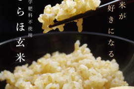 玄米が好きになる 玄米6kg【11月発送開始】