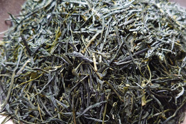お茶・茶葉　農薬・肥料不使用　緑茶（2023） かぶせ茶　やぶきた 加茂自然農園のお茶