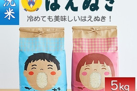 山形県産　はえぬき　無洗米　10kg