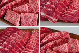 【お肉のコンシェルジュ特選】食べ比べ希少部位ステーキ＆焼肉　BBQセット