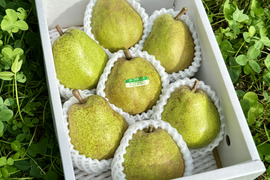 【２箱同梱】ラ・フランス🍐2ｋｇ【2L】7玉入り