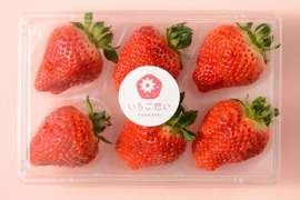 きっと想いが伝わるいちご-越後姫4Lサイズ6個入り