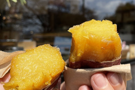 【自社農園栽培・自社工場加工】　紅はるか焼き芋（冷凍）