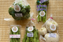 濃甘！野菜セット5種類 農薬・化学肥料不使用♪個包装
