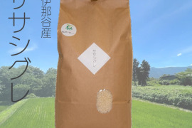 令和６年産 信州伊那谷産 農薬、殺虫剤、不使用【ササシグレ】ハサ掛け米5kg