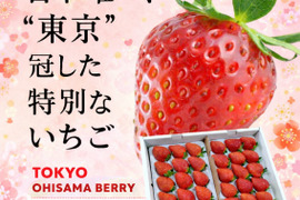 【新春セール当店通常価格の25％OFF】「東京おひさまベリー」(9～30粒入り、約300g)×２パック 東京生まれのニューブランド ギフト 果物 プレゼント 贈り物 お礼品 御礼品 誕生日