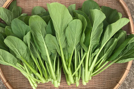 油菜芯 1kg／栄養価の高い、中国の定番野菜！