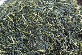 お茶・茶葉　農薬・肥料不使用　緑茶（2022） 玉露　やぶきた 加茂自然農園のお茶