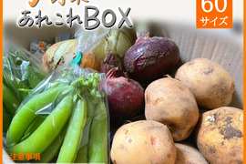 採れたて！旬野菜あれこれBOX(60サイズ)