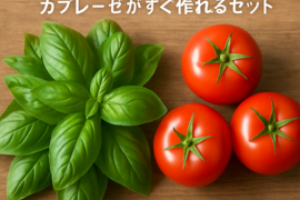 朝摘みバジル🌿×完熟トマト🍅カプレーゼがすぐ作れるセット