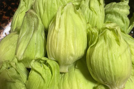 【天然の春の味覚】岩手県産ふきのとう – 自然の恵みを新鮮直送