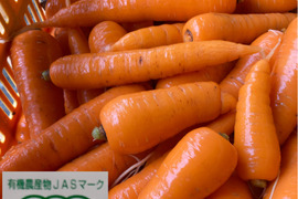 甘くみずみずしい！有機人参A品Mサイズ！10kg