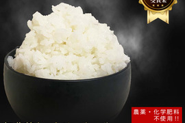 【1等獲得‼農薬・化学肥料不使用】もっちりつやつや特別栽培米佐賀県産さがびより10kgR3年産