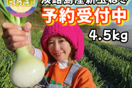 【予約商品】農家直送!! 淡路島産ブランド新玉ねぎ 『にじたま』極早生 一級品 4.5kgダンボール入り（ご家庭用・17個前後） 使いやすいM・L・2L混在！4/1頃から発送