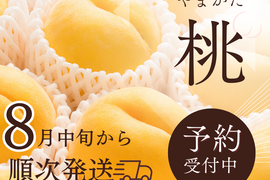 【 🍑新春大特価予約🍑 】【 30箱限定 】【 🍑黄金桃•家庭用🍑 】山形県天童産 桃 3.0k 【 果肉ジューシー 】お米とご一緒に！