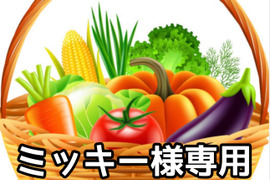 ミッキー様専用