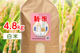 【令和6年新米】ひとめぼれ4.8キロ白米　甘い！うまい！