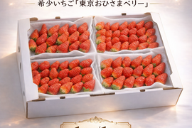 完熟朝採りいちご「東京おひさまベリー」(約１kg／１箱あたり) 東京生まれのニューブランド イチゴ 苺 ギフト スイーツ 果物 プレゼント 贈り物 お礼品 誕生日 祝い事／バレンタインデー、合格祝