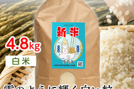 【令和6年新米】雪若丸　令和6年産4.8キロ白米　甘味のある新食感！