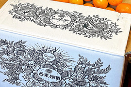 大玉みかんでお得に！【横綱みかん10キロ】