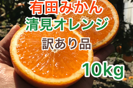 果汁たっぷり清見オレンジ　訳あり品　10kg　サイズ混合