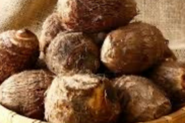 ねっとり食感！白く輝く、庄内砂丘産「里芋」大和早生　1kg