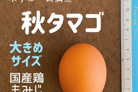 食欲の秋到来‼　ボリューム満点　秋タマゴ×140個‼
