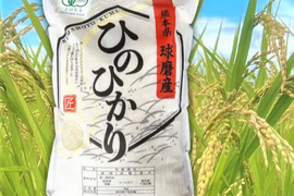 【送料相当分値引き中】36年間農薬不使用・絶品バランス玄米「ひのひかり」（贈答用・5kg）