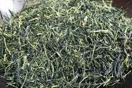 お茶・茶葉　農薬・肥料不使用　緑茶（2022） 玉露　さみどり 加茂自然農園のお茶