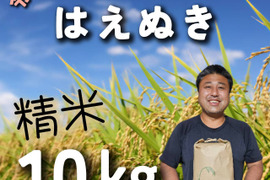 令和8年産　庄内米｢はえぬき｣　精米10㎏　山形県鶴岡市産