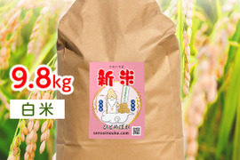 【令和6年新米】ひとめぼれ9.8キロ白米　甘い！うまい！