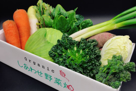 オーガニック野菜セット　有機野菜　Ｌセット（有機JAS認証取得　JGAP認証　しあわせ野菜畑　）