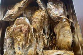 お家で牡蠣小屋気分！牡蠣カンカン焼き20個入りナイフ軍手付き