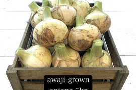 【ひょうご安心ブランド認証！】トロトロ甘々❤︎ 初モノ　淡路島　超極早生　新玉ねぎ　4.5kg