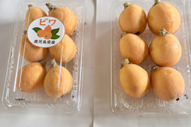 ビワ（ご家庭用）約1kg