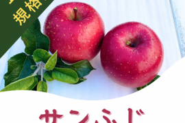 【正規規格品】サンふじ　約5kg(送料別)