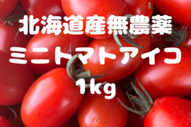 ミニトマトアイコ1kg