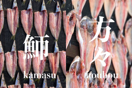 カマスとホウボウの干物食べ比べセット