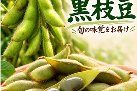 【丹波産本黒枝豆‼️【食べ出したら止まらない‼️】コクと甘みの1キロ入り❗️