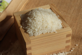 《R7新米予約》ヒノヒカリ無洗米5kg