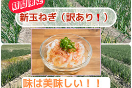 【コスパ重視】淡路島産新玉ねぎ　訳あり品〜毎日の料理の強い味方〜　5kg（サイズ混合）