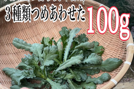 採れたて春菊を100gお届けします