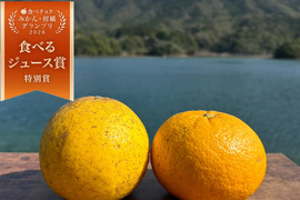 箱込み6kg 河内晩柑&甘夏　栽培期間中に農薬、化学肥料不使用 柑橘セット【柑橘食べ比べ】