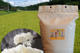 つきあかり精米12kg(2kg×6) 令和5年 神石高原町産 肌のうるおいを保つ「グルコシルセラミド」を豊富に含む美容米！
