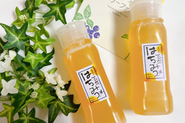 【お得】国産純粋非加熱生はちみつ250ｇ 液だれ防止倒立ボトル２本