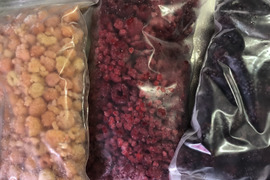 2025年予約販売　冷凍オーガニックラズベリー(赤・黄) &オーガニックブラックベリー 各500g×2袋　3kgセット