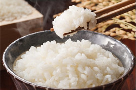 新米　新潟県産　こしいぶき  無洗米  10キロ　令和5年産　お米　(musenmai-kosiibuki10kg)